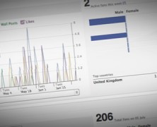 Facebook Insights Explained