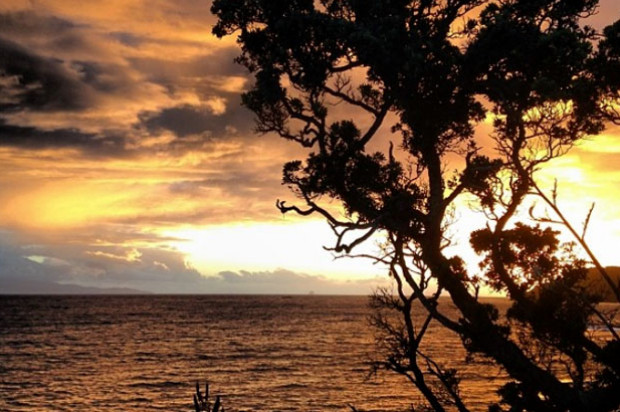 A Quick Escape: Great Barrier Island