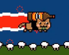 Kiwi Nyan Cat