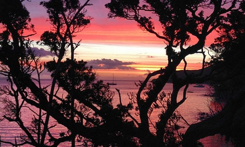 Tryphena Harbour at sunset