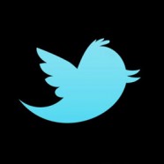 NZ in 2011: As told by Kiwis on Twitter